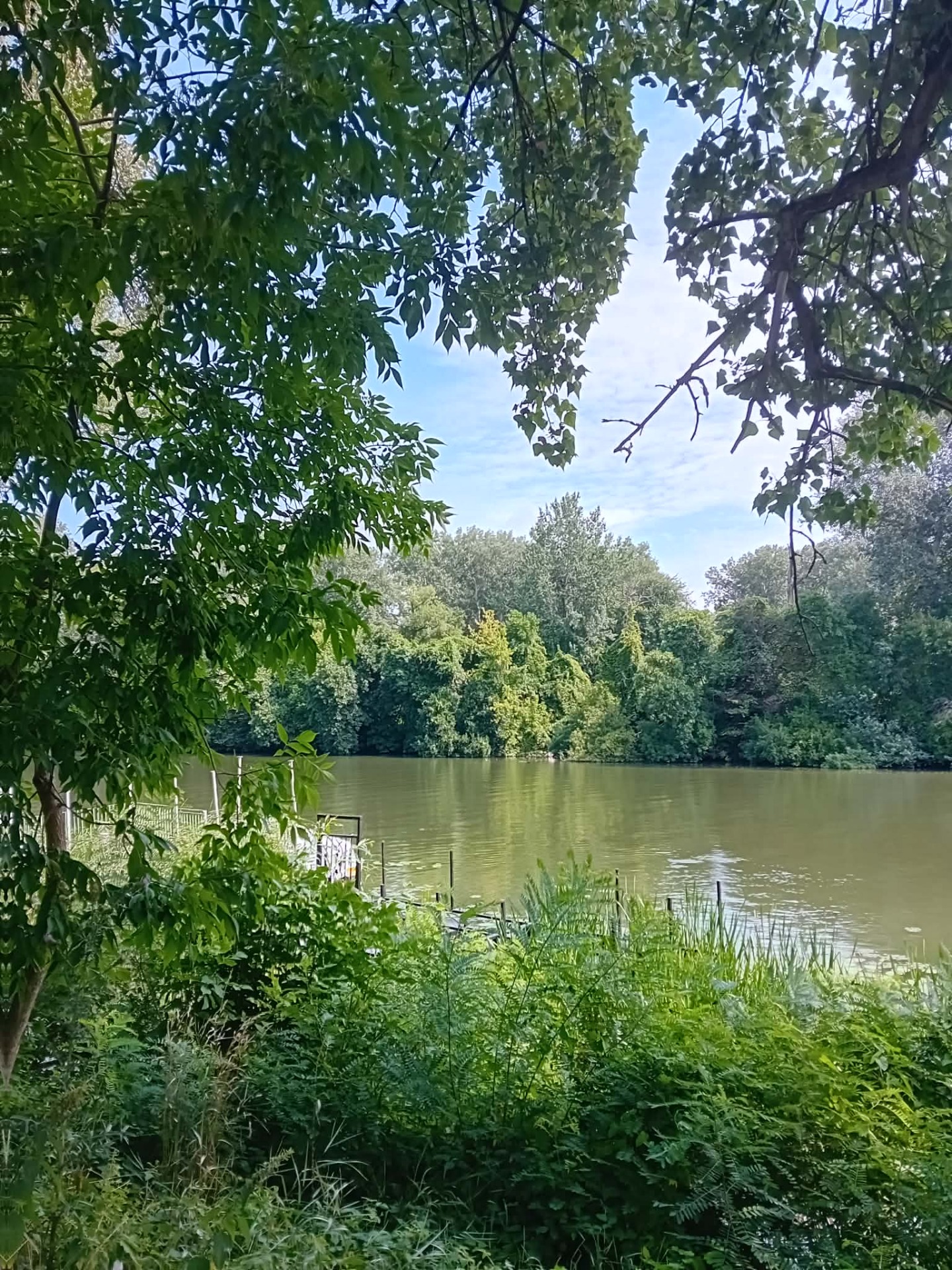 Shanoa medium thuis opleiding